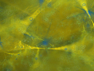 Similar image 21876192