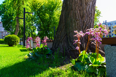 Similar image 21858202