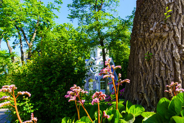 Similar image 21858289