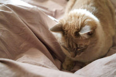 Similar image 21866815