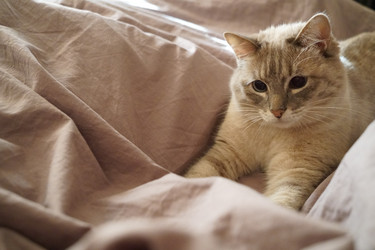 Similar image 21866825