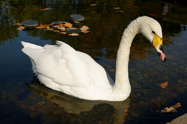 Similar image 21866850