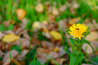 Similar image 21866860