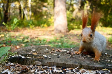 Similar image 21866867