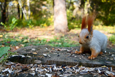 Similar image 21866870