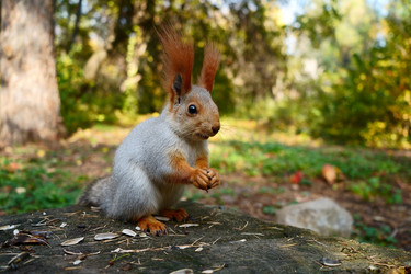 Similar image 21866876