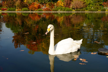 Similar image 21866877