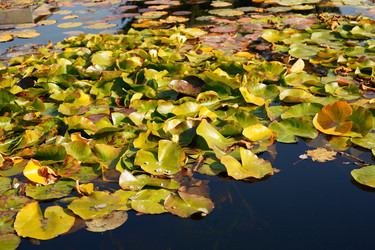 Similar image 21866878