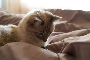 Similar image 21867020