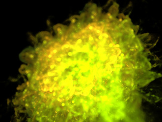 Similar image 21876567