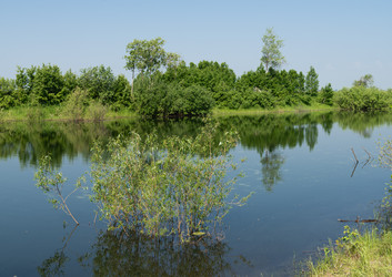 Similar image 21856659