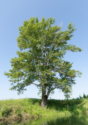 Similar image 21856661