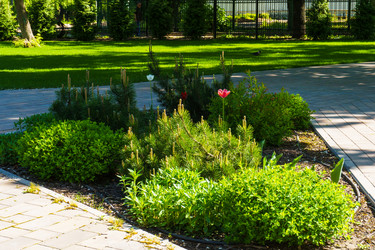 Similar image 21857624