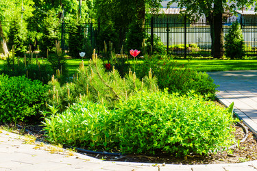 Similar image 21857625