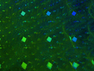 Similar image 21876258