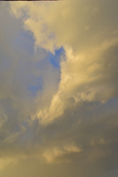 Similar image 21857021