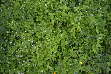 Similar image 21856663