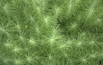 Similar image 21856664