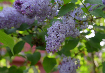 Similar image 21856692