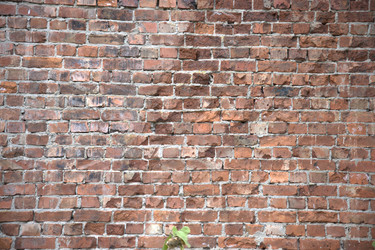 Similar image 21856693