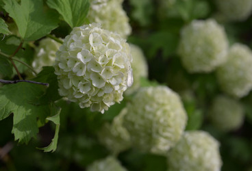 Similar image 21856694