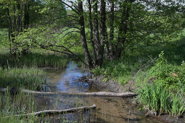 Similar image 21856696