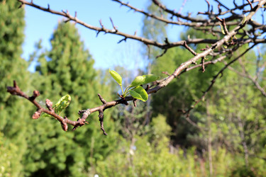 Similar image 21856771