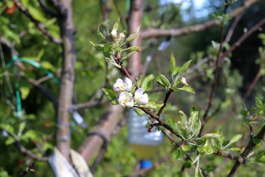 Similar image 21856772