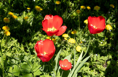 Similar image 21856773