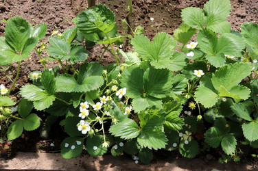 Similar image 21856774