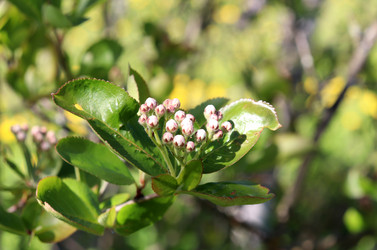 Similar image 21856775