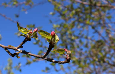 Similar image 21856777