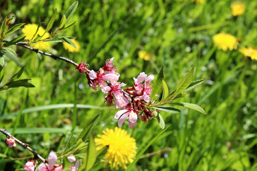 Similar image 21856778