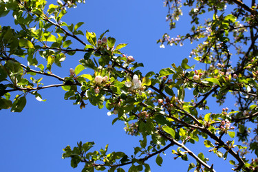 Similar image 21856779