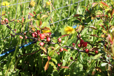 Similar image 21856780