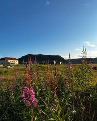 Similar image 21874099