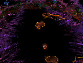 Similar image 21876586