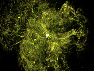 Similar image 21876609