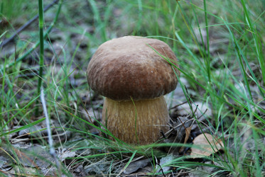 Similar image 21856886