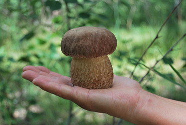 Similar image 21856887