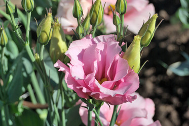 Similar image 21856888