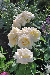 Similar image 21856891