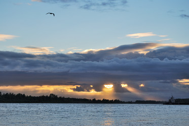 Similar image 21856898