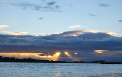 Similar image 21856788