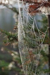 Similar image 21856903