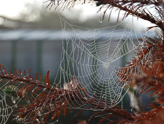 Similar image 21856905