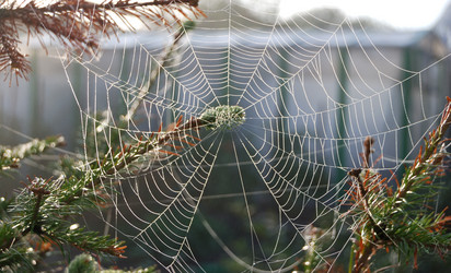 Similar image 21856906