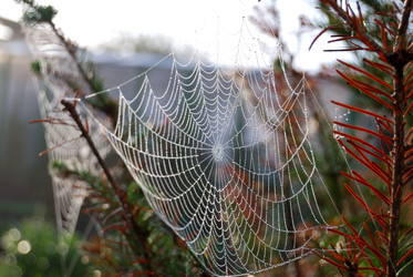 Similar image 21856907