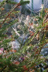 Similar image 21856908