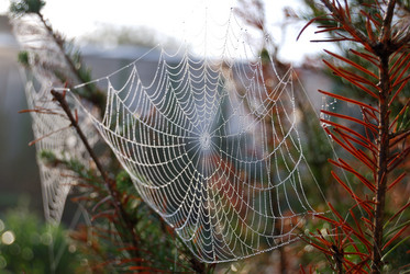 Similar image 21856909